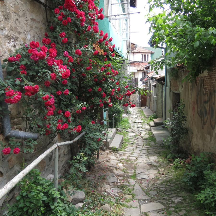 Rooster Hostel Veliko Tarnovo Kültér fotó